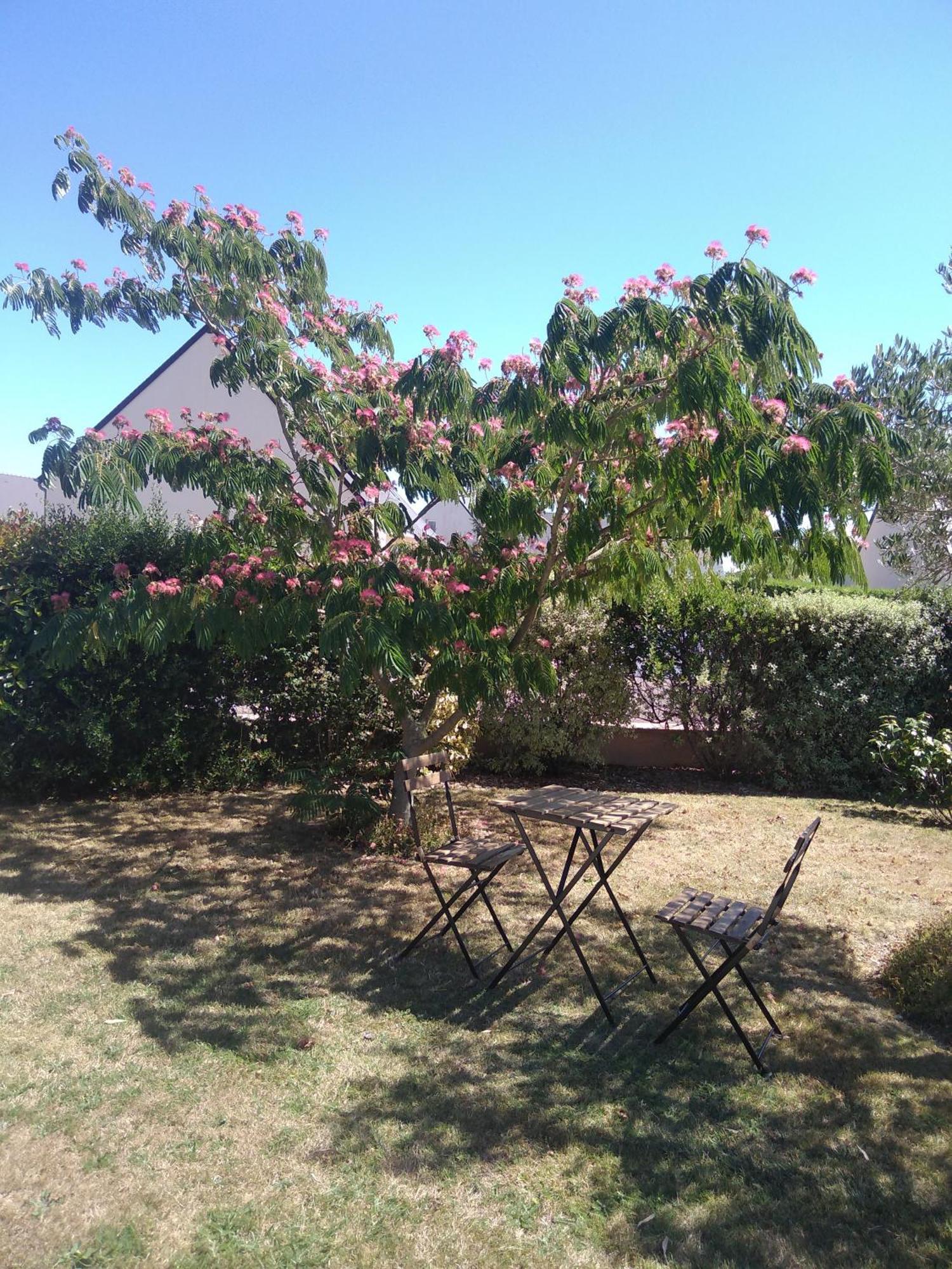 Chambre Agreable Au Calme Saint-Hilaire-Petitville Buitenkant foto